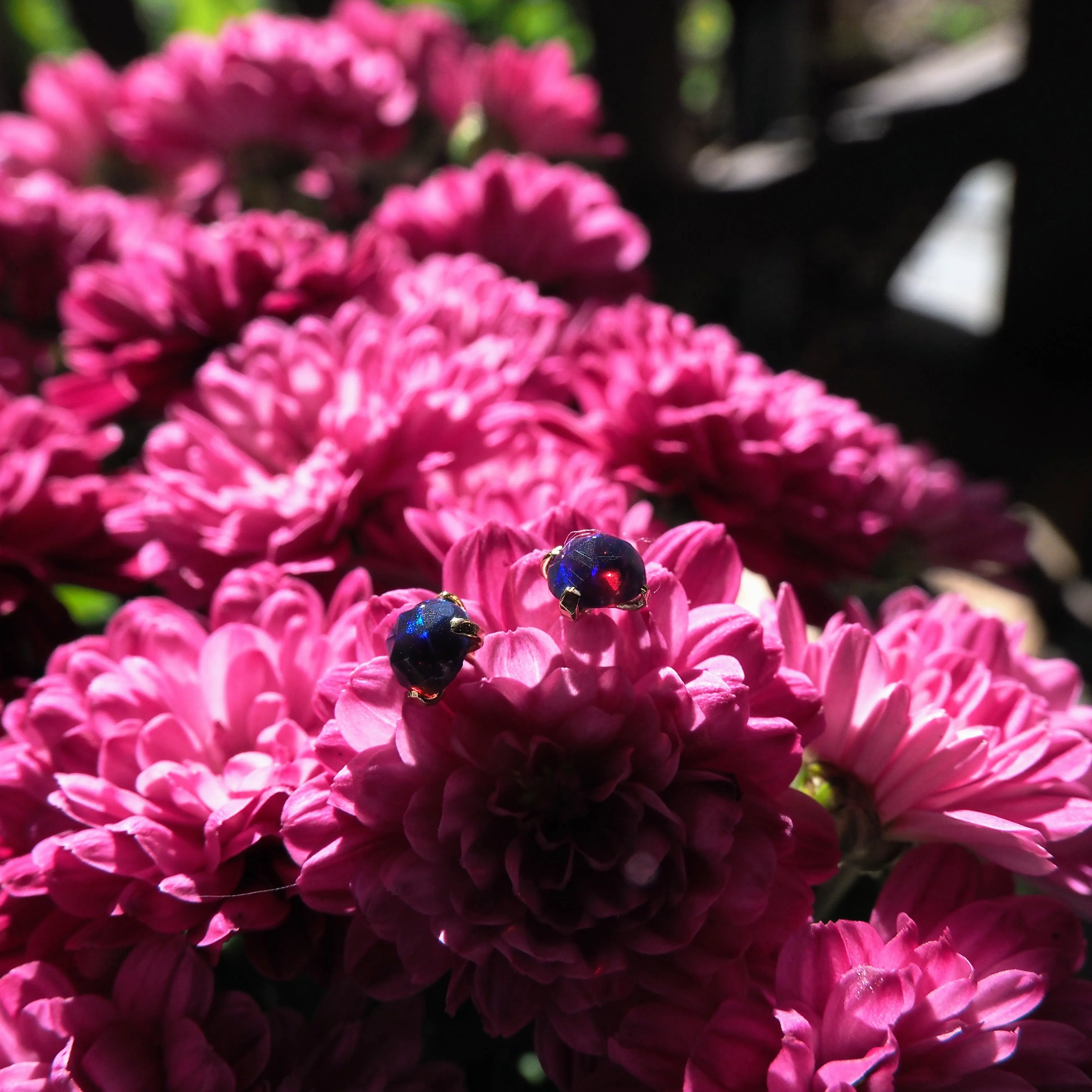 14k Black Opal Studs