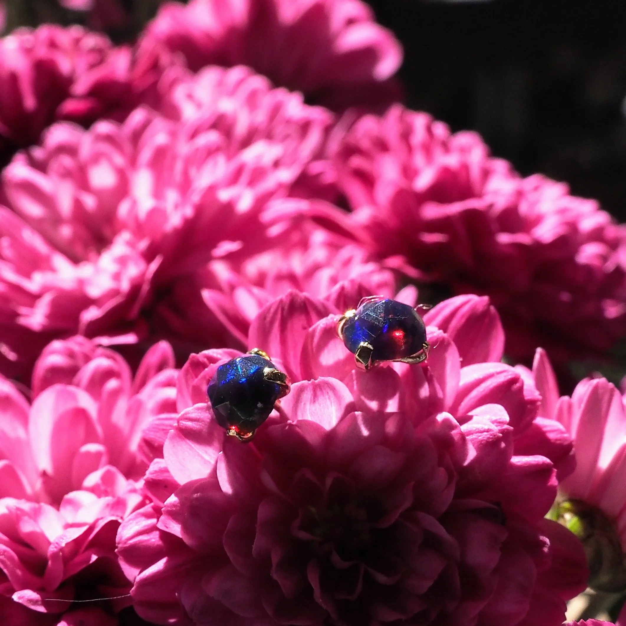 14k Black Opal Studs