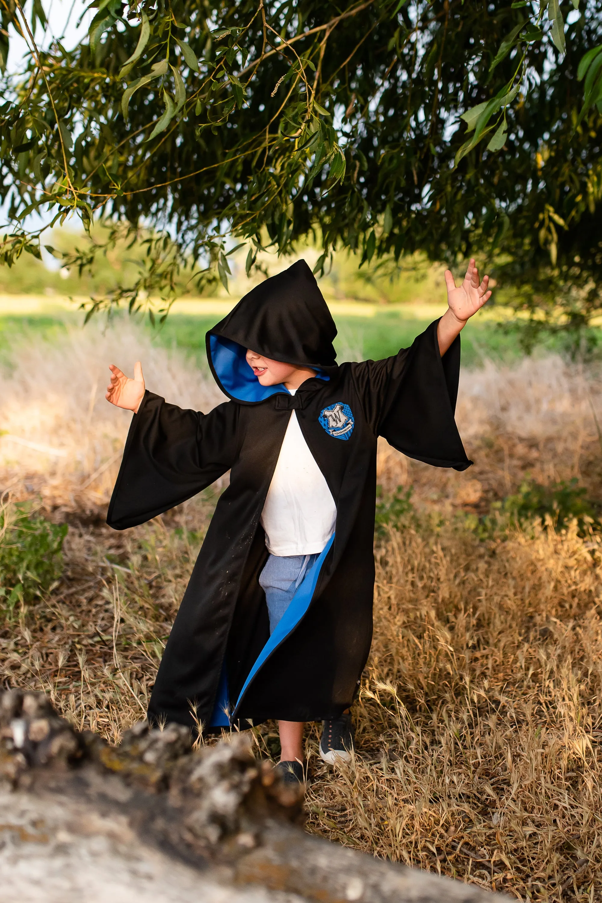 Blue Hooded Wizard Robe