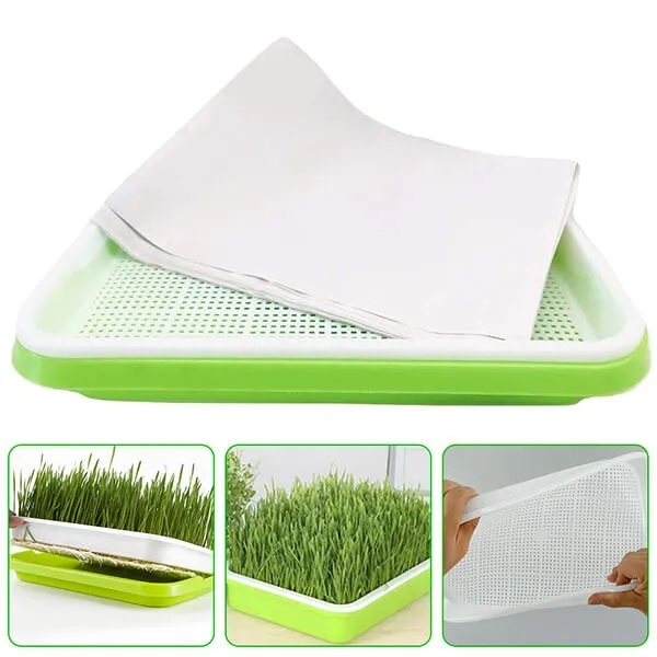 Seed Sprouter Tray